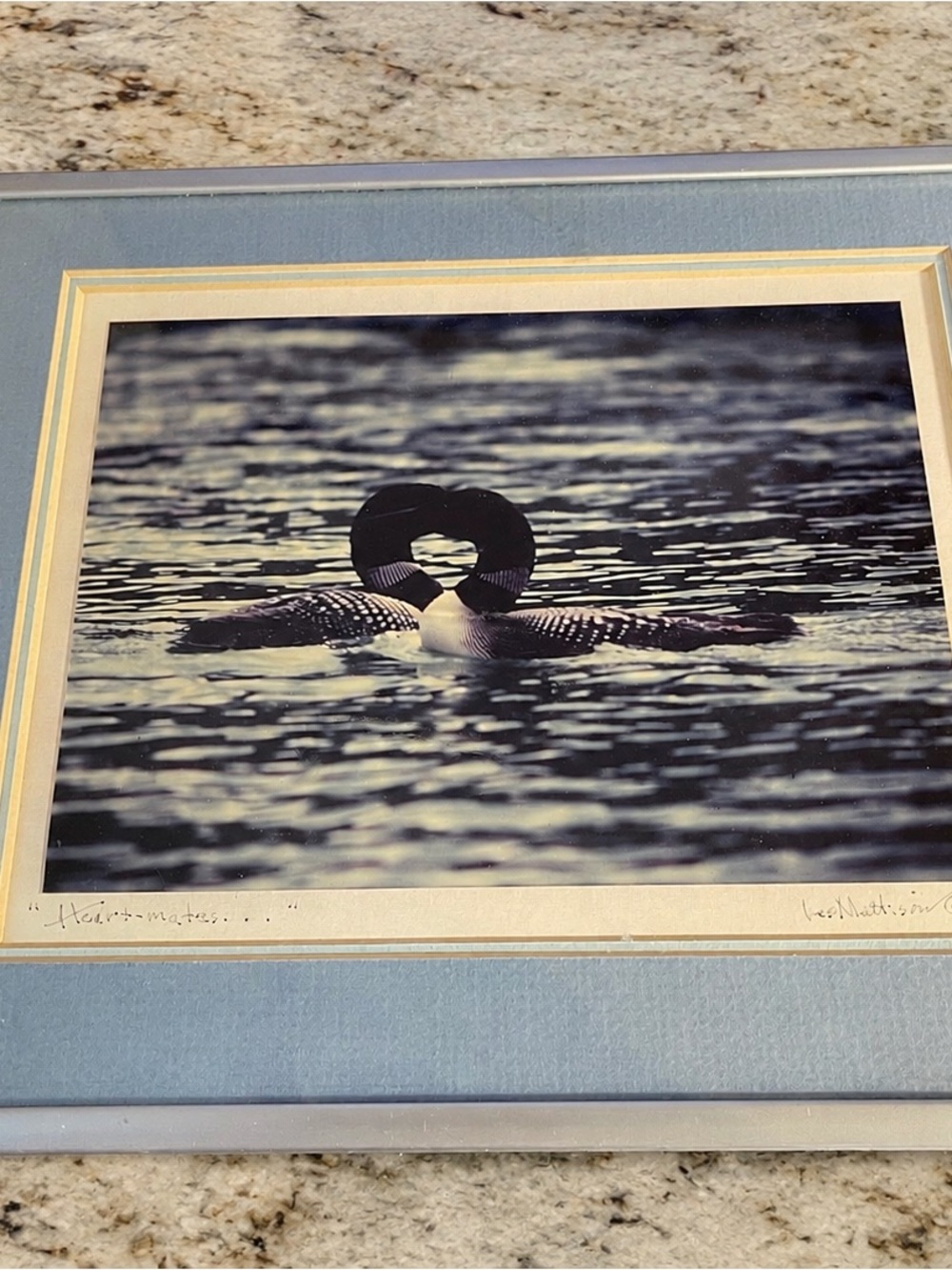 🌊 Les Mattison "Heart-mates..." Framed Wildlife Print – Copyright 1984